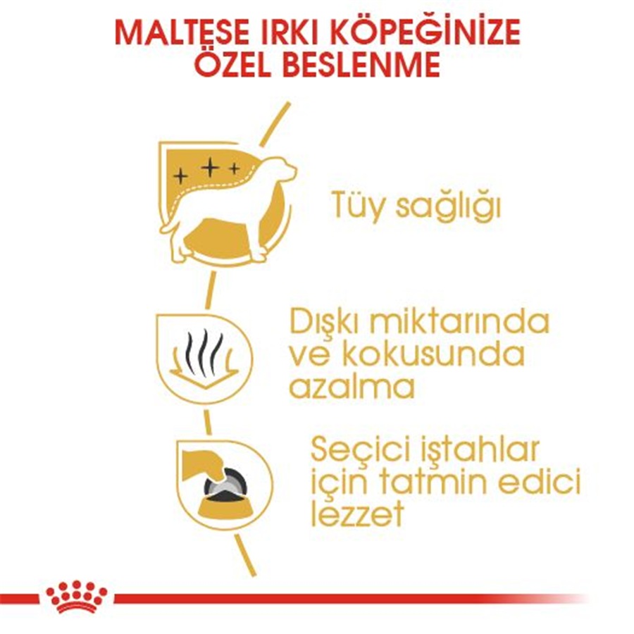Royal Canin Maltese Adult 1,5 کیلوگرم غذای سگ بالغ