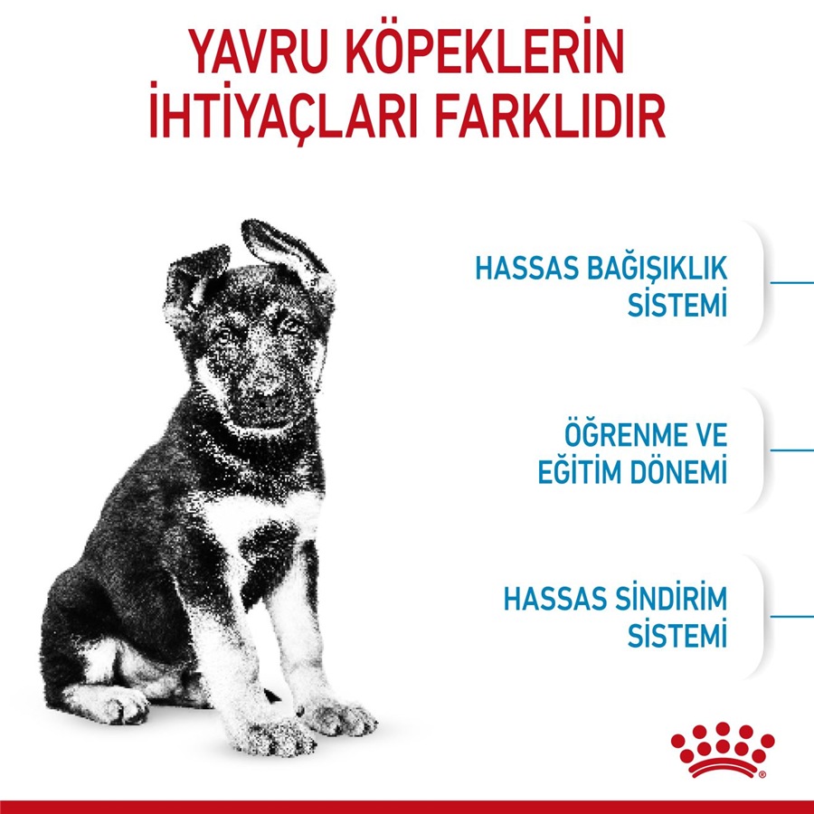 Royal Canin Maxi Puppy 10 کیلوگرم غذای توله‌سگ نژاد بزرگ