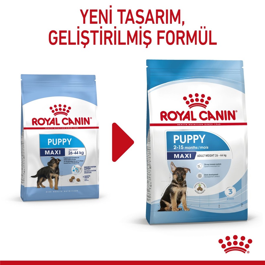 Royal Canin Maxi Puppy 10 کیلوگرم غذای توله‌سگ نژاد بزرگ