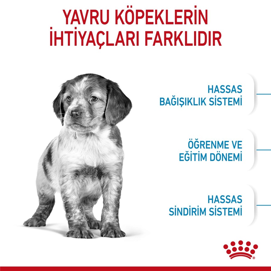 Royal Canin Medium Puppy 4 کیلوگرم غذای توله‌سگ نژاد متوسط