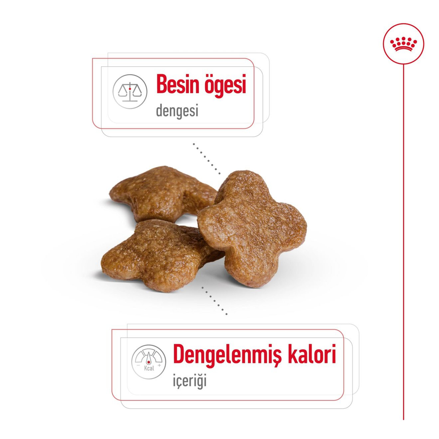 Royal Canin Mini Adult 8+ 2 کیلوگرم غذای سگ مسن نژاد کوچک