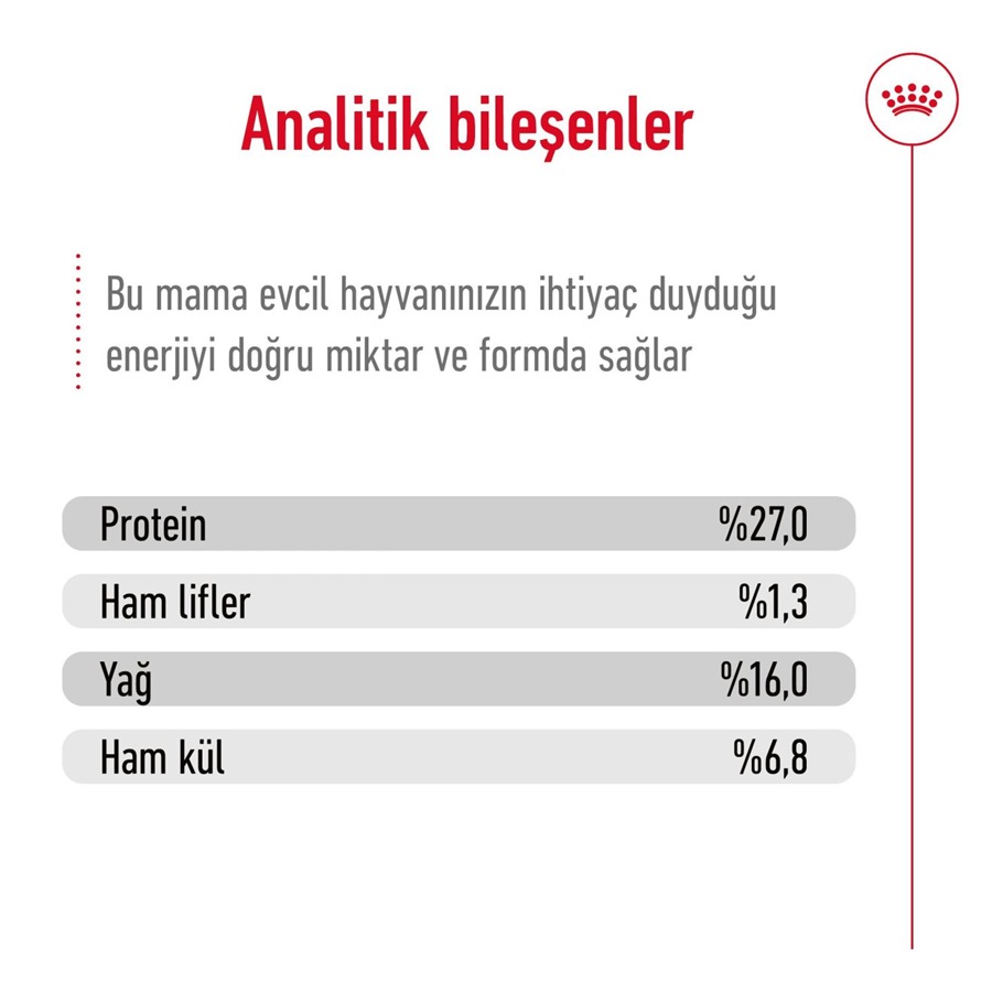 Royal Canin Mini Adult 8 کیلوگرم غذای سگ بالغ نژاد کوچک