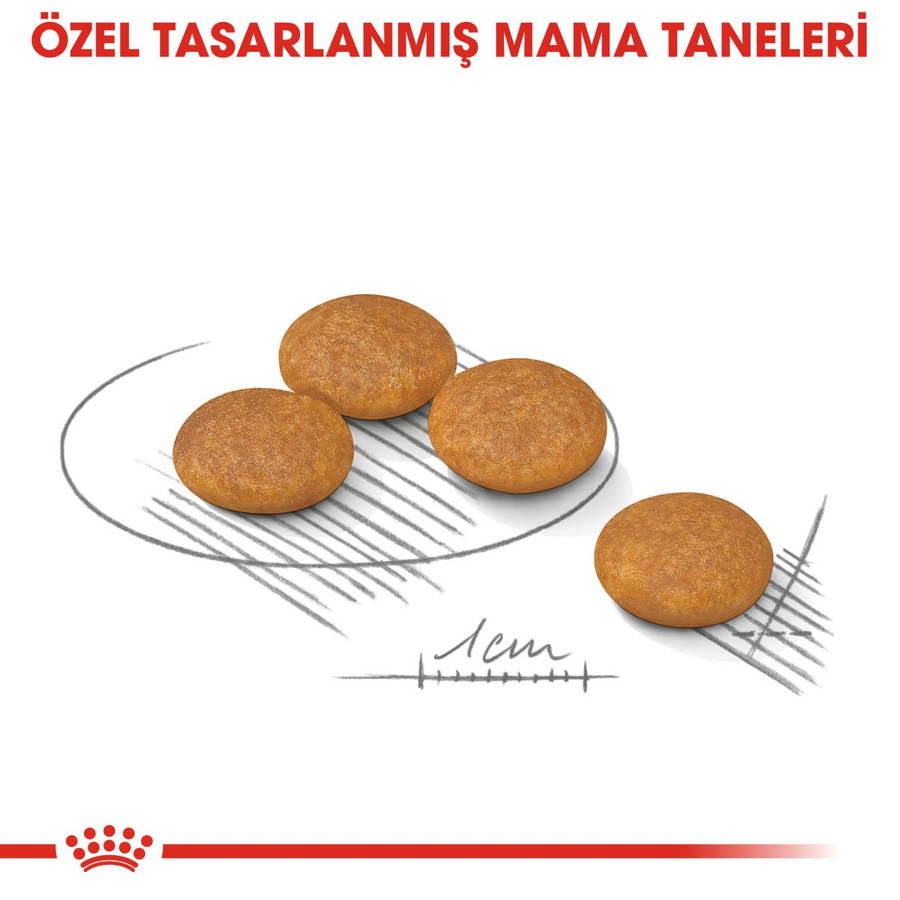 Royal Canin Mini Dermacomfort 3 کیلوگرم غذای سگ بالغ نژاد کوچک