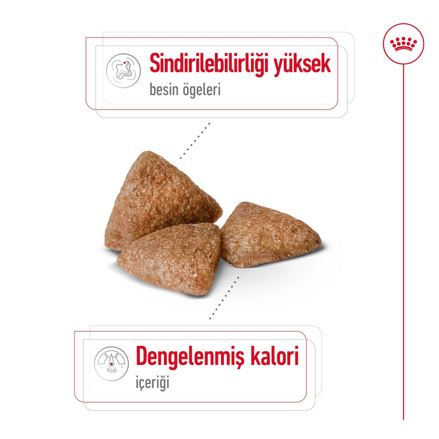 Royal Canin Mini Indoor Adult 1,5 کیلوگرم غذای سگ بالغ نژاد کوچک