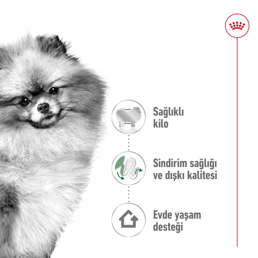 Royal Canin Mini Indoor Adult 1,5 کیلوگرم غذای سگ بالغ نژاد کوچک