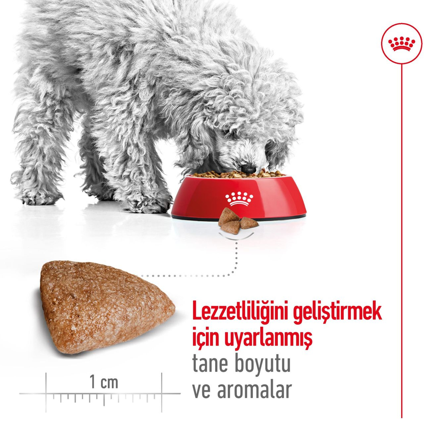 Royal Canin Mini Indoor Adult 1,5 کیلوگرم غذای سگ بالغ نژاد کوچک
