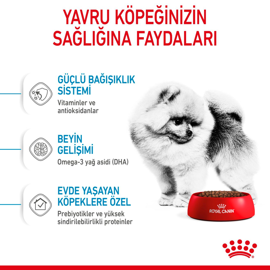 Royal Canin Mini Indoor Puppy 1,5 Kg Küçük Irk Yavru Köpek Maması