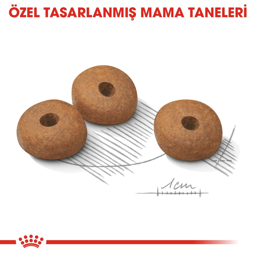 Royal Canin Mini Light Weight Care 3 Kg Küçük Irk Light Yetişkin Köpek Maması