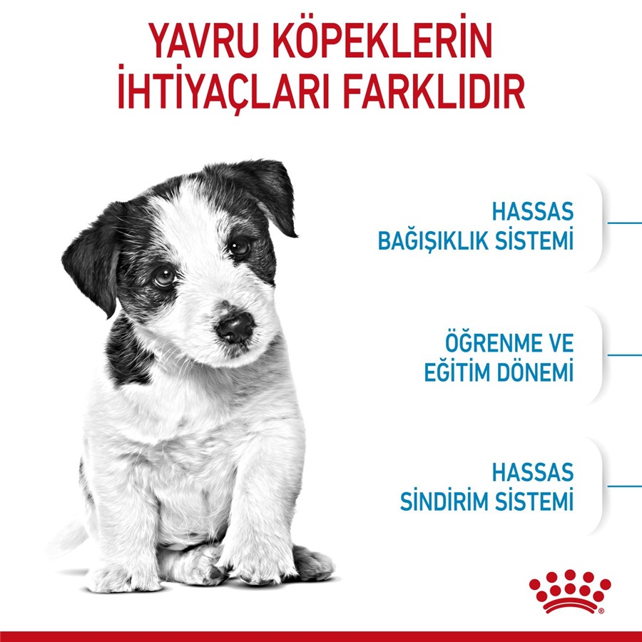Royal Canin Mini Puppy 4 kg Küçük Irk Yavru Köpek Maması
