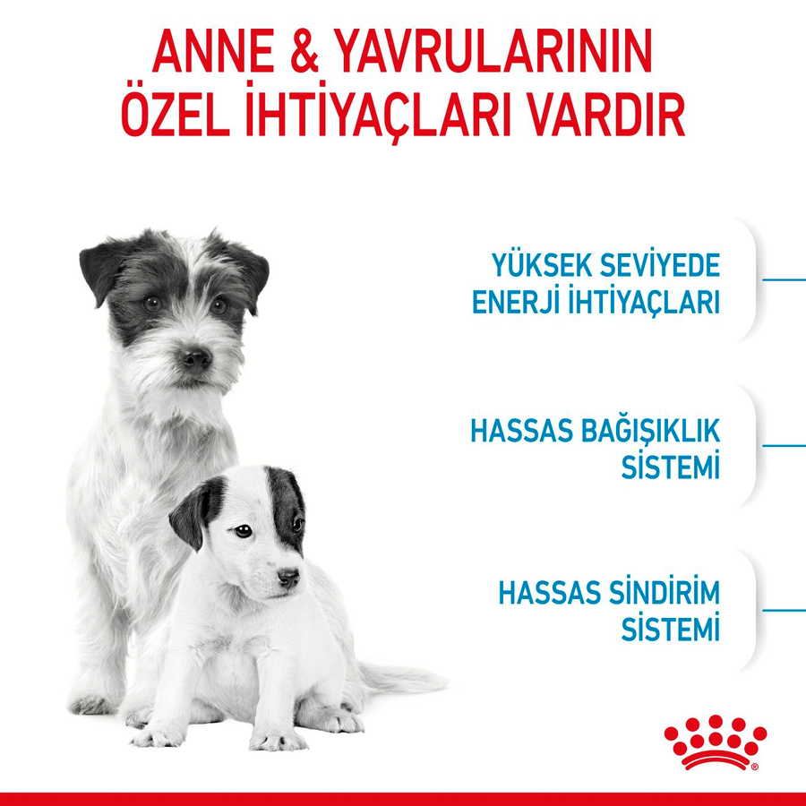 Royal Canin Mini Starter Mother & Babydog 1 Kg Küçük Irk Anne ve Yavru Köpek Maması