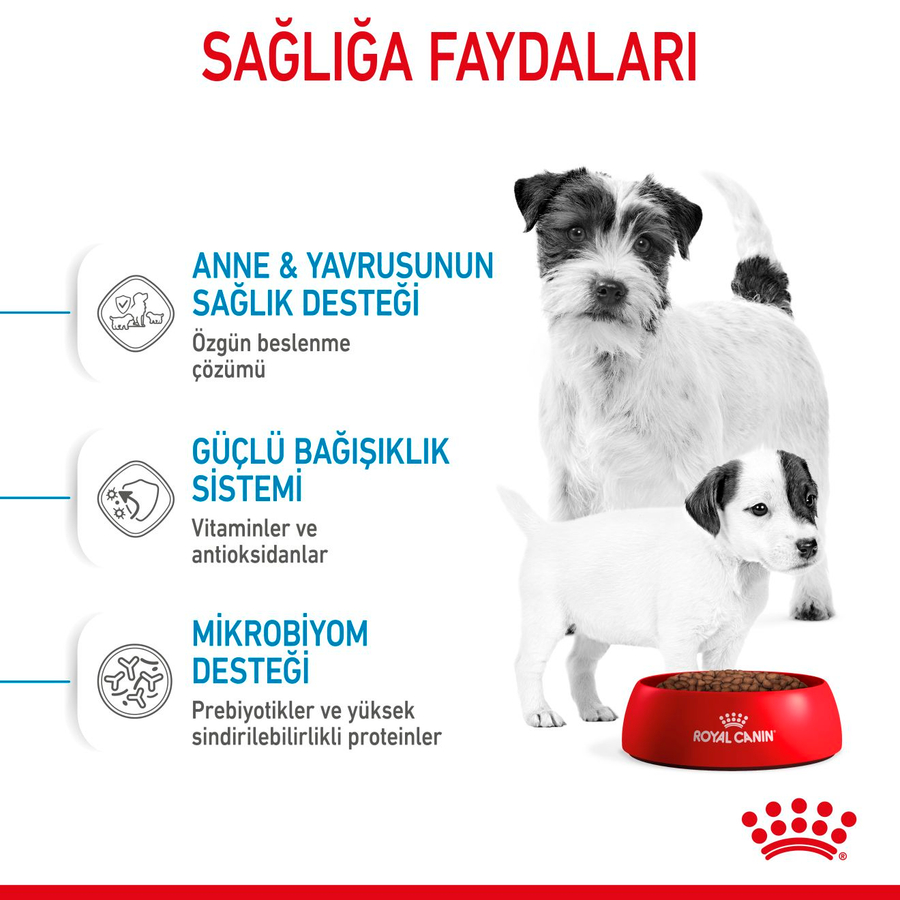 Royal Canin Mini Starter Mother & Babydog 3 Kg Küçük Irk Anne ve Yavru Köpek Maması