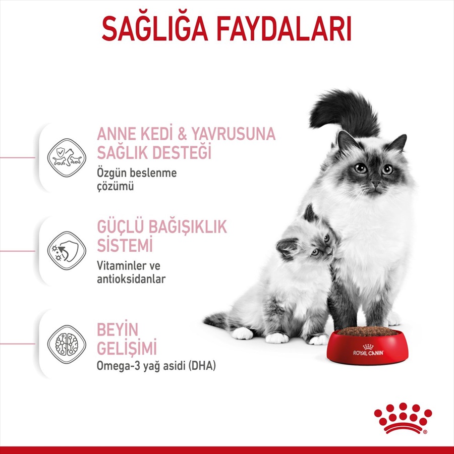 Royal Canin Mother & Babycat غذای مادر و بچه گربه 4 kg