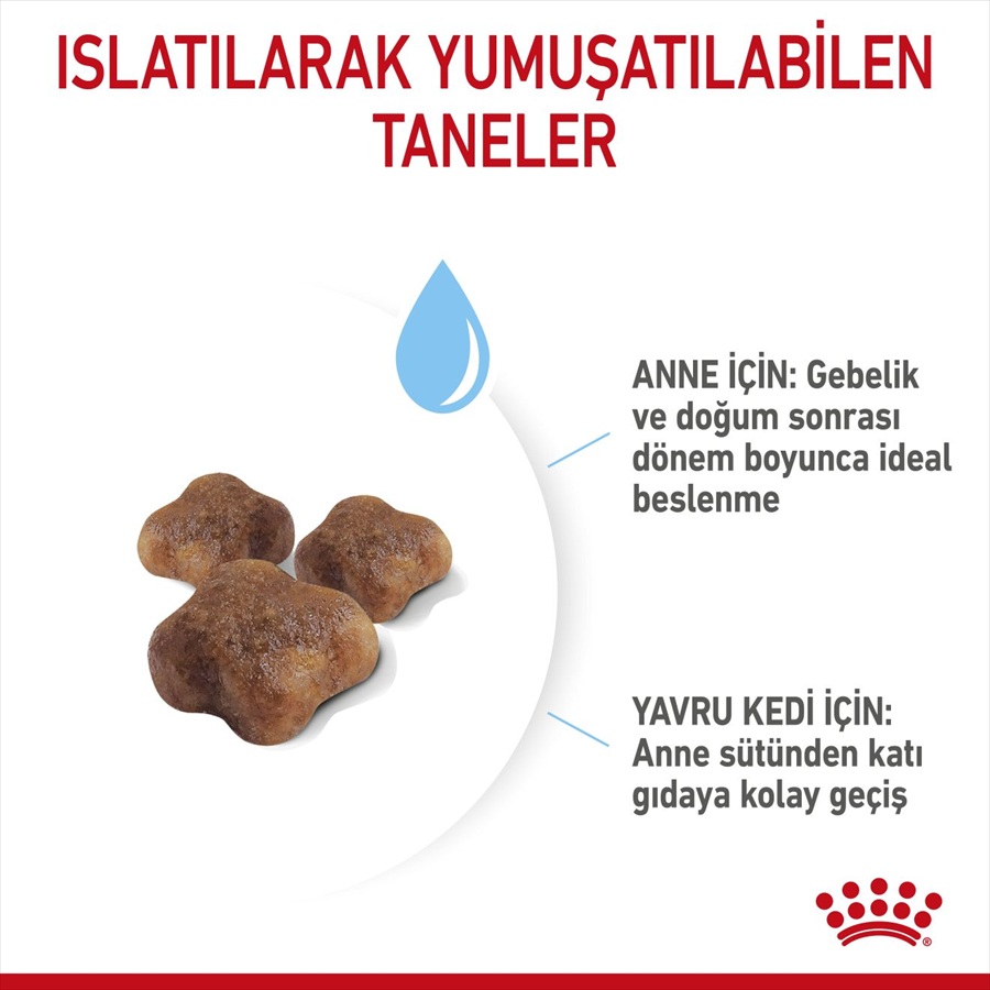 Royal Canin Mother & Babycat Anne ve Yavru Kedi Maması 400 g