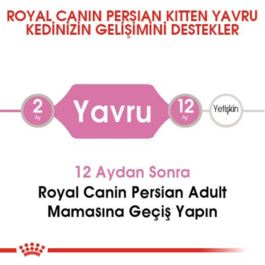 Royal Canin Persian Kitten 2 کیلوگرم Persian غذای بچه‌گربه