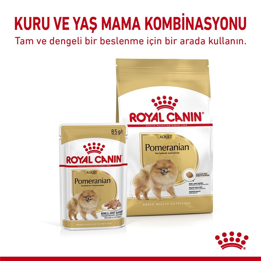 Royal Canin Pomeranian Adult 3 کیلوگرم غذای سگ بالغ
