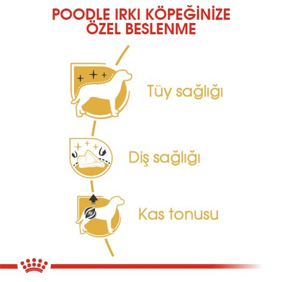 Royal Canin Poodle Adult 3 کیلوگرم غذای سگ بالغ