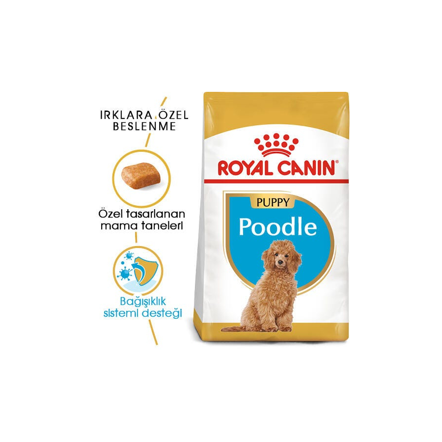 Royal Canin Poodle Puppy 3 Kg Poodle Irkı Yavru Köpek Maması