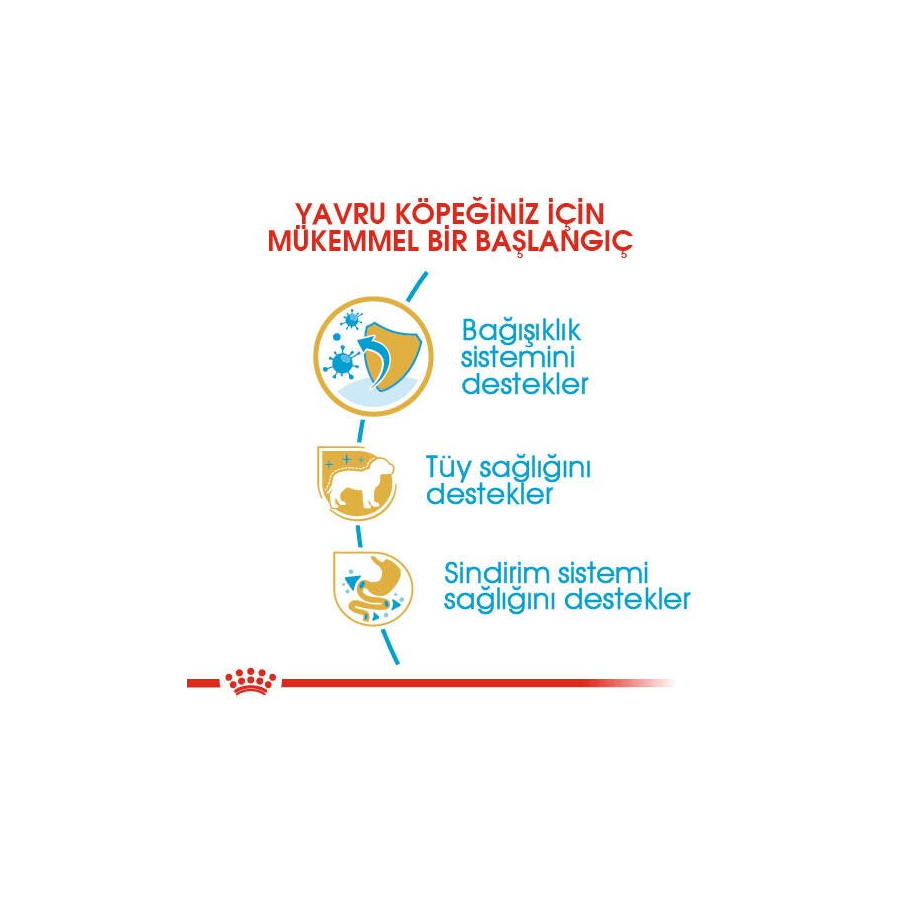 Royal Canin Poodle Puppy 3 Kg Poodle Irkı Yavru Köpek Maması
