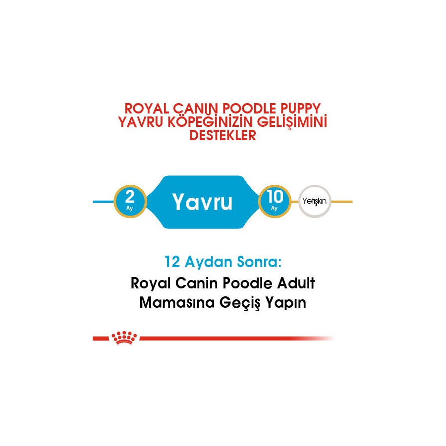 Royal Canin Poodle Puppy 3 Kg Poodle Irkı Yavru Köpek Maması