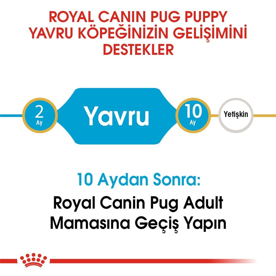 Royal Canin Pug Puppy 1,5 Kg Yavru Köpek Maması