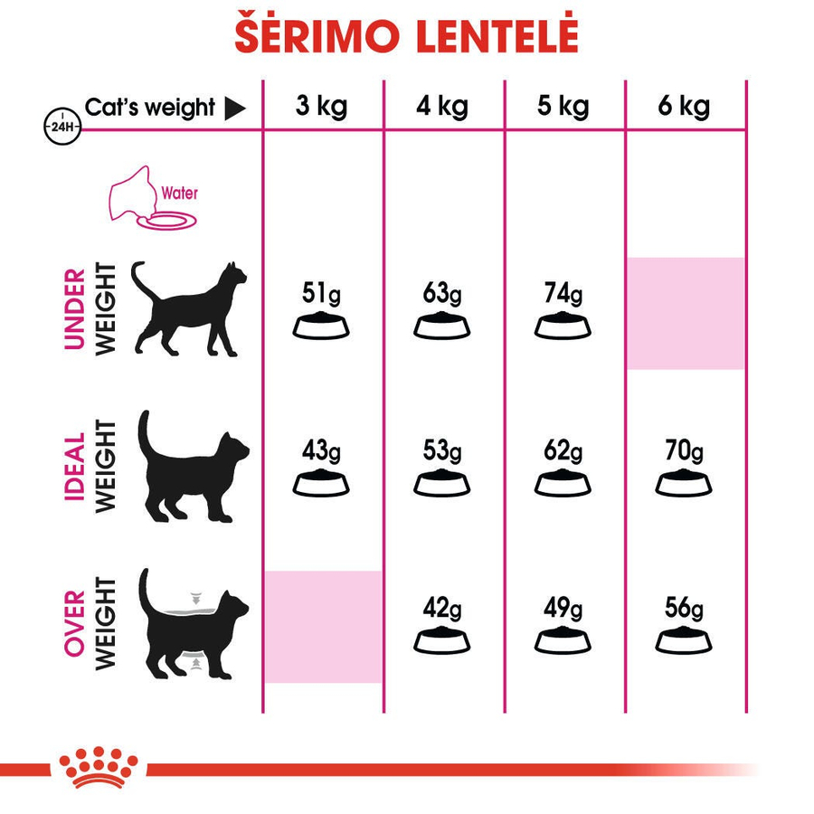 Royal Canin Savour Exigent 10 Kg غذا برای گربه های بالغ پیکی