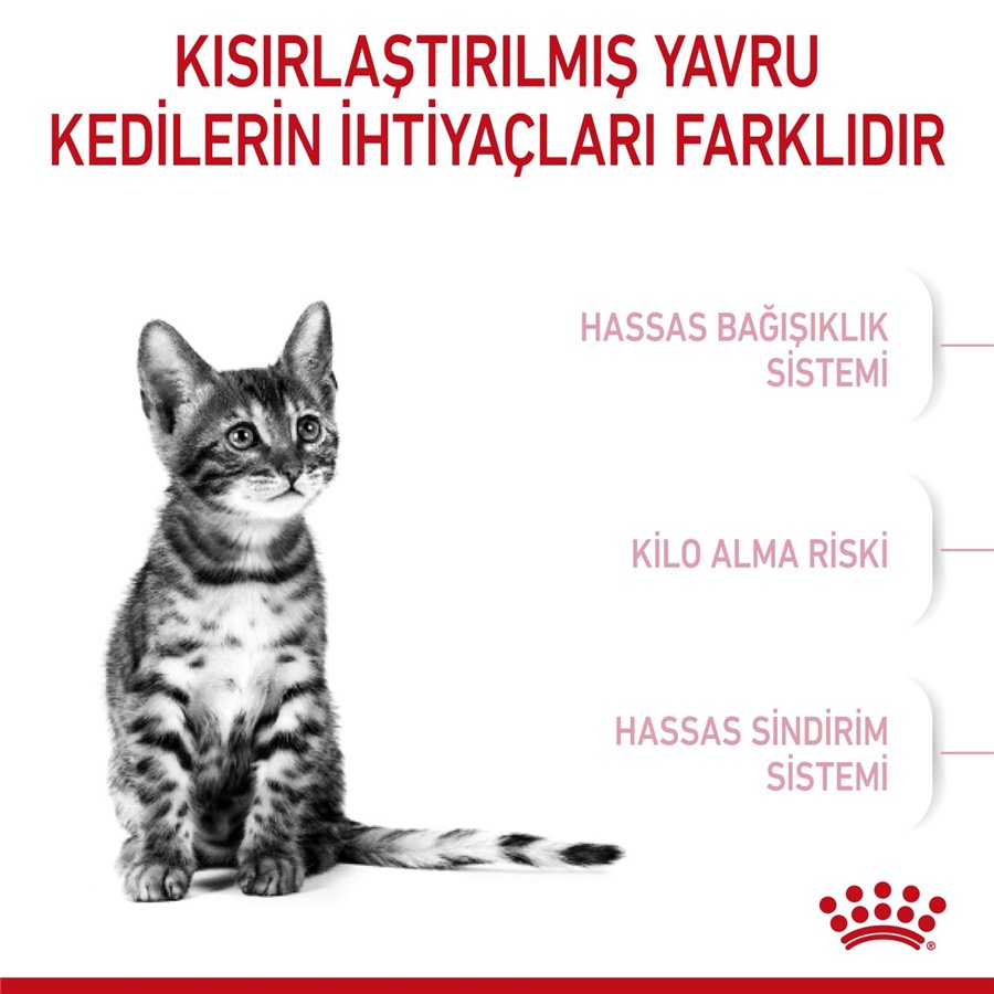 Royal Canin Sterilised Kitten 2 kg غذای بچه گربه عقیم شده