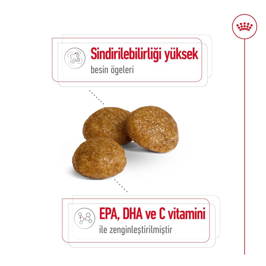 Royal Canin X-Small Adult 1,5 kg Çok Küçük Irk Yetişkin Köpek Maması