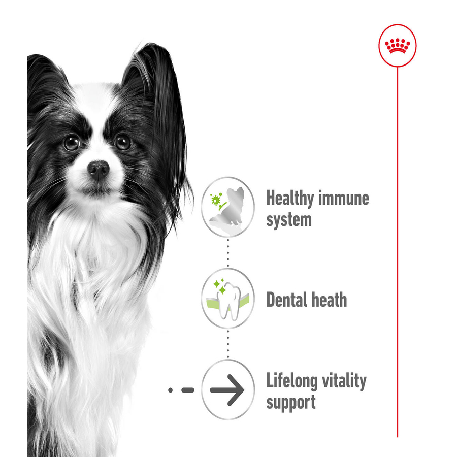Royal Canin X-Small Ageing 12+ 1,5 Kg Çok Küçük Irk Yaşlı Köpek Maması