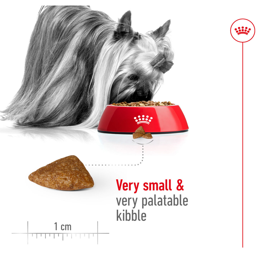 Royal Canin X-Small Ageing 12+ 1,5 Kg Çok Küçük Irk Yaşlı Köpek Maması