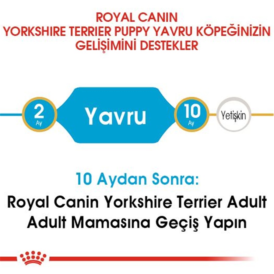 Royal Canin Yorkshire Terrier Puppy 1,5 Kg Yavru Köpek Maması