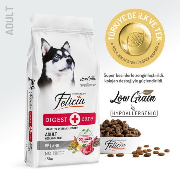 Felicia HypoAllergenic Az Tahıllı Kuzulu Yetişkin Orta-Büyük Irk Köpek Maması 15Kg