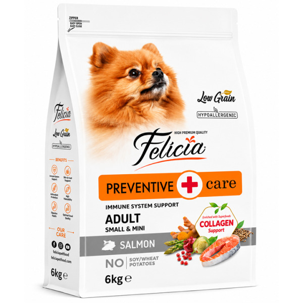 Felicia HypoAllergenic Kolajenli Az Tahıllı Somonlu Küçük Irk Yetişkin Köpek Maması 6KG