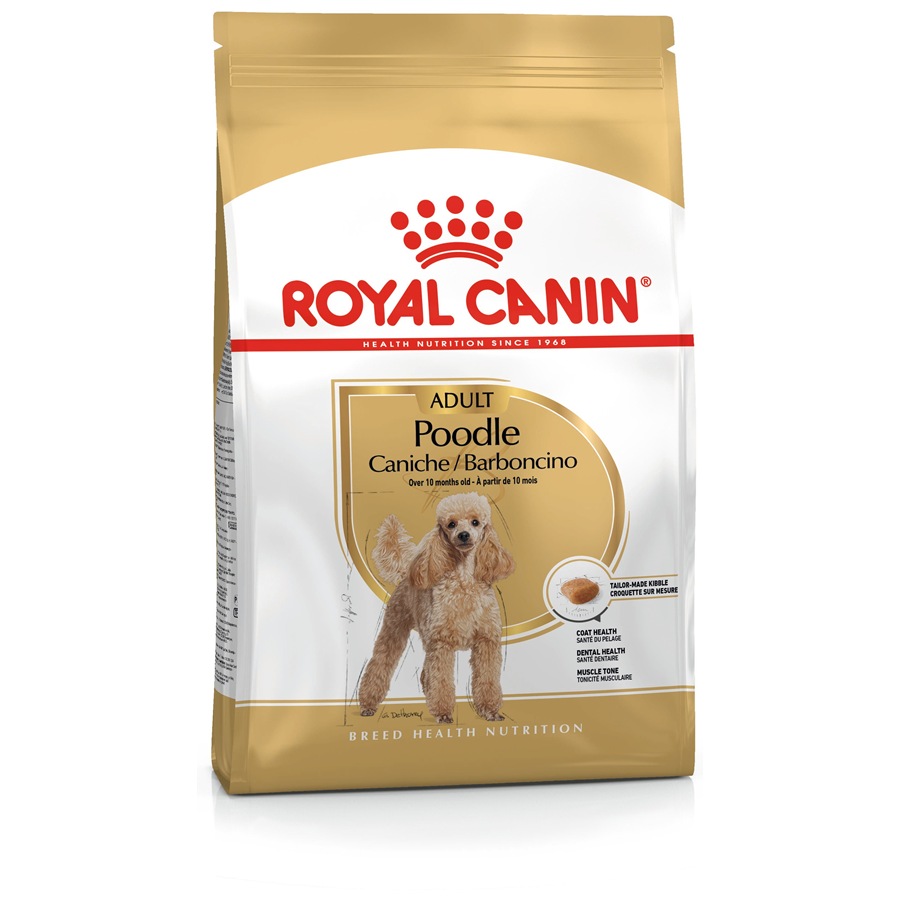 Royal Canin Poodle Adult 3 Kg Yetişkin Köpek Maması