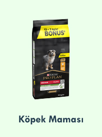 Köpek Maması