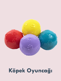 Köpek Oyuncağı