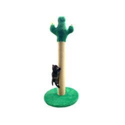 Kedi Tırmalamaları