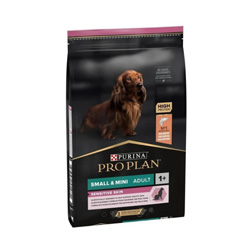 Köpek Mamaları