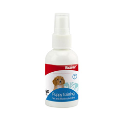 Köpek Çiş Damlaları