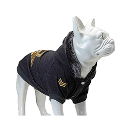 Köpek Elbisesi