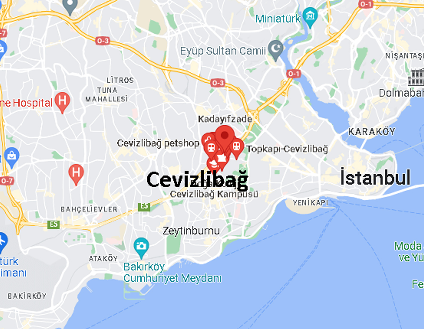 Cevizlibağ teslimat haritası