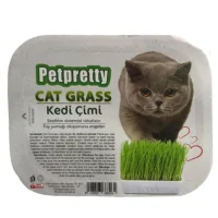Pet Pretty cat grass