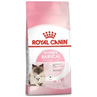 Royal Canin Mother & Babycat Anne ve Yavru Kedi Maması 2 kg