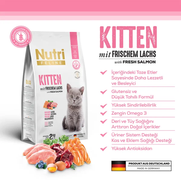 Nutri Feline Kitten 2 Kg Somonlu Yavru Kedi Maması