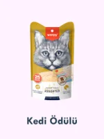 Kedi Ödülü