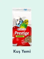 Kuş Yemi